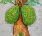 CDKG01 - Jackfruit Tree 2