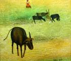 Buffalos at grassland